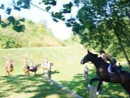 dsc06118_web